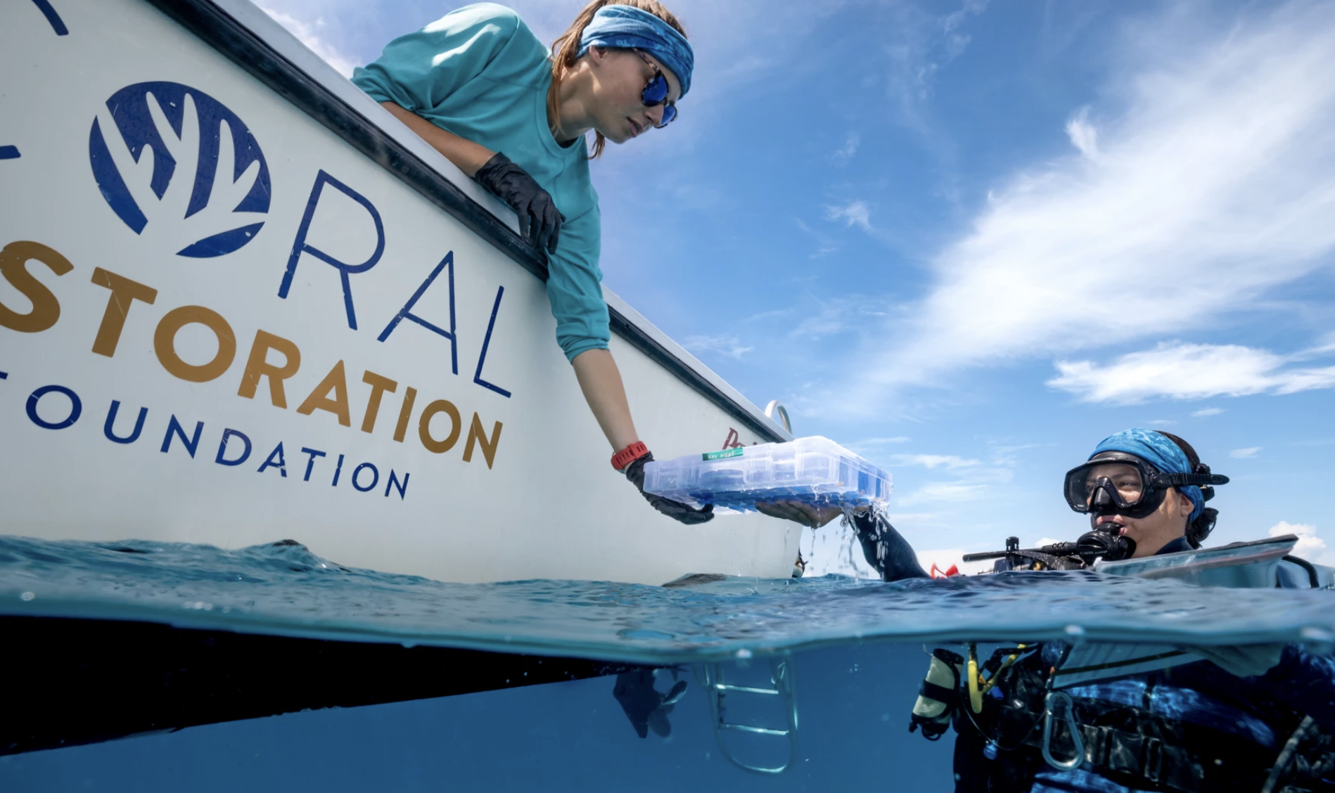 Coral Restoration Foundation Launches a New Tool for the Coral Restoration.